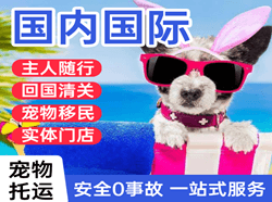 张掖甘州航空快递国际宠物托运 【国